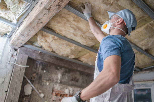 Best Commercial Insulation in Carlstadt, NJ